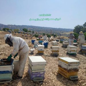 ژل رویال اصل ایرانی